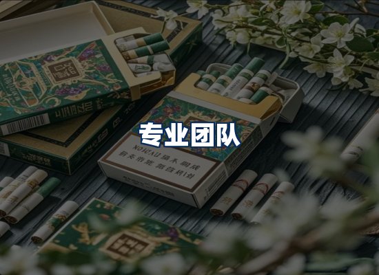 专业团队